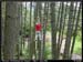 20040914_pahsalins_14