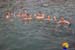 baignade_13
